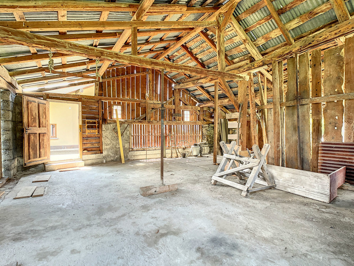 Image 19